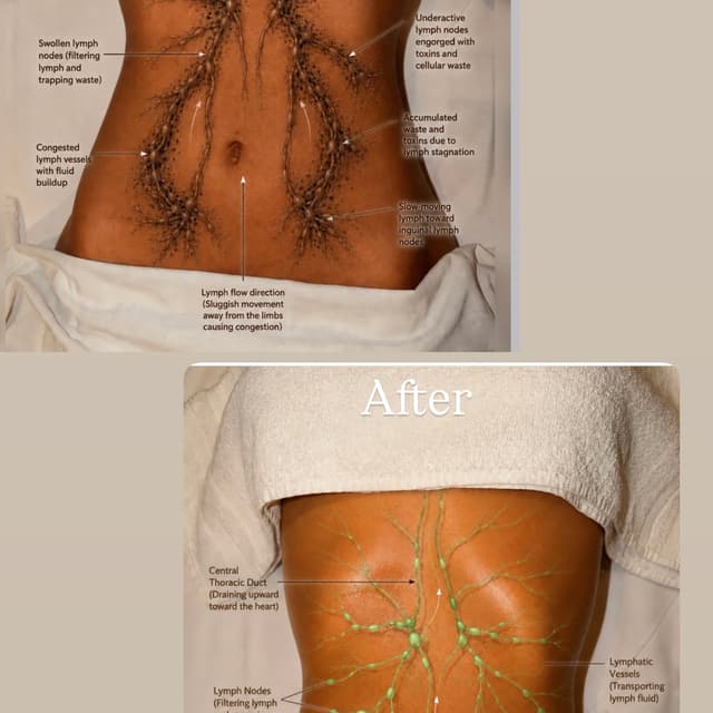 Massage Package – 3 Sessions at Zahra Healthy Touch in Tustin, CA